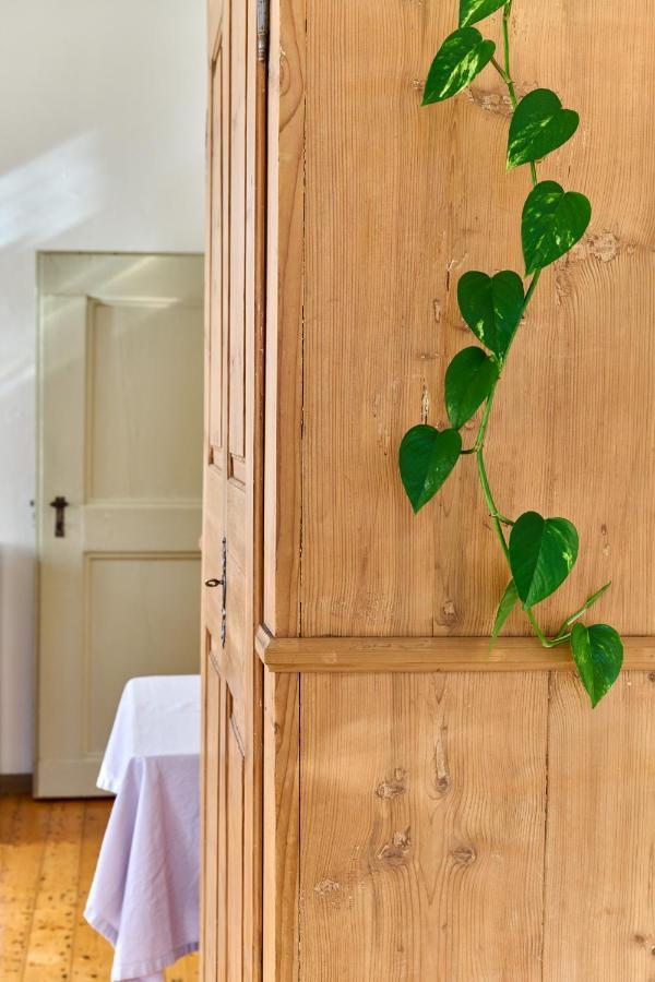 Al Cavour 34 Bed & Breakfast Trento Dış mekan fotoğraf